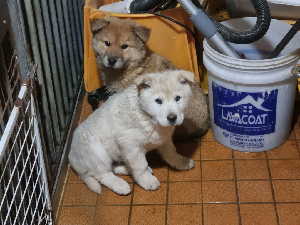 프렌즈동물병원_445464202400339