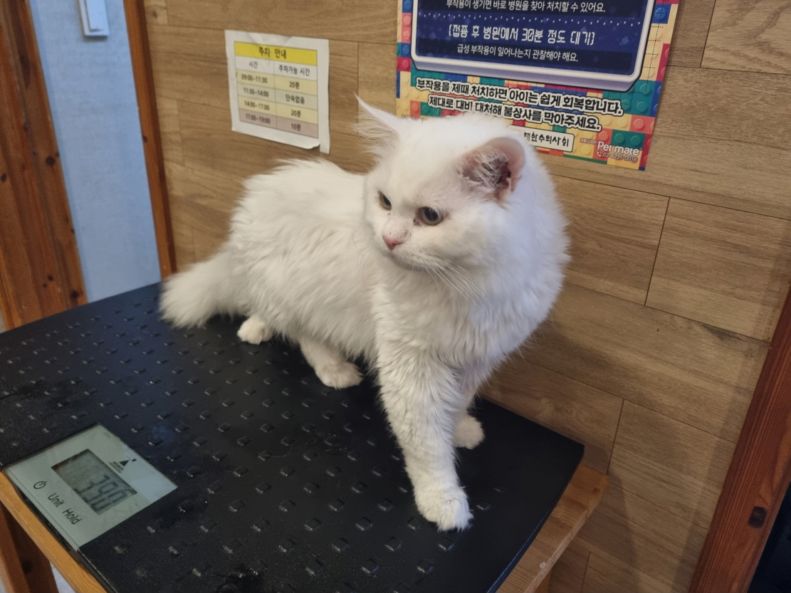 프렌즈동물병원_445464202400340