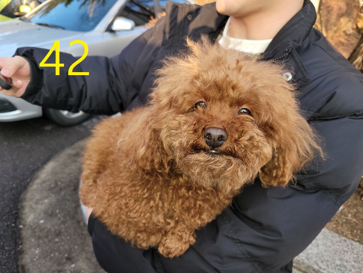 신영재동물병원_428355202400042