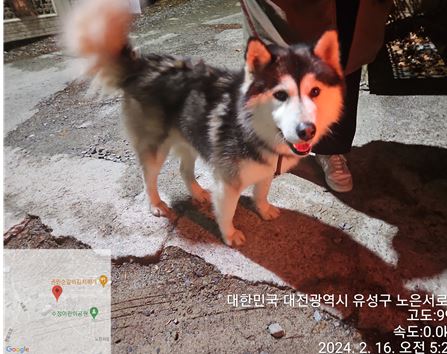 종료(반환) 시베리…