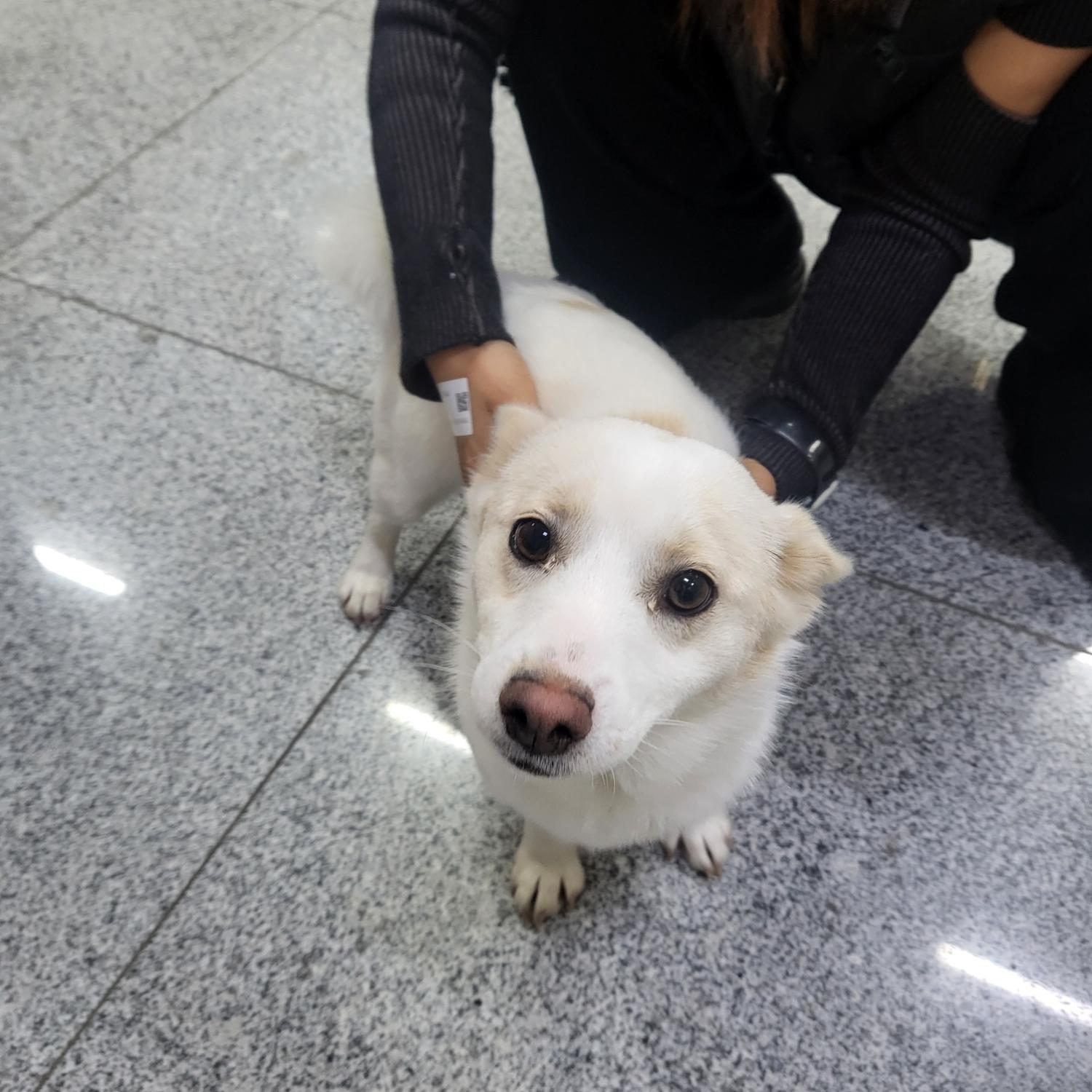 금강동물병원_427346202400049