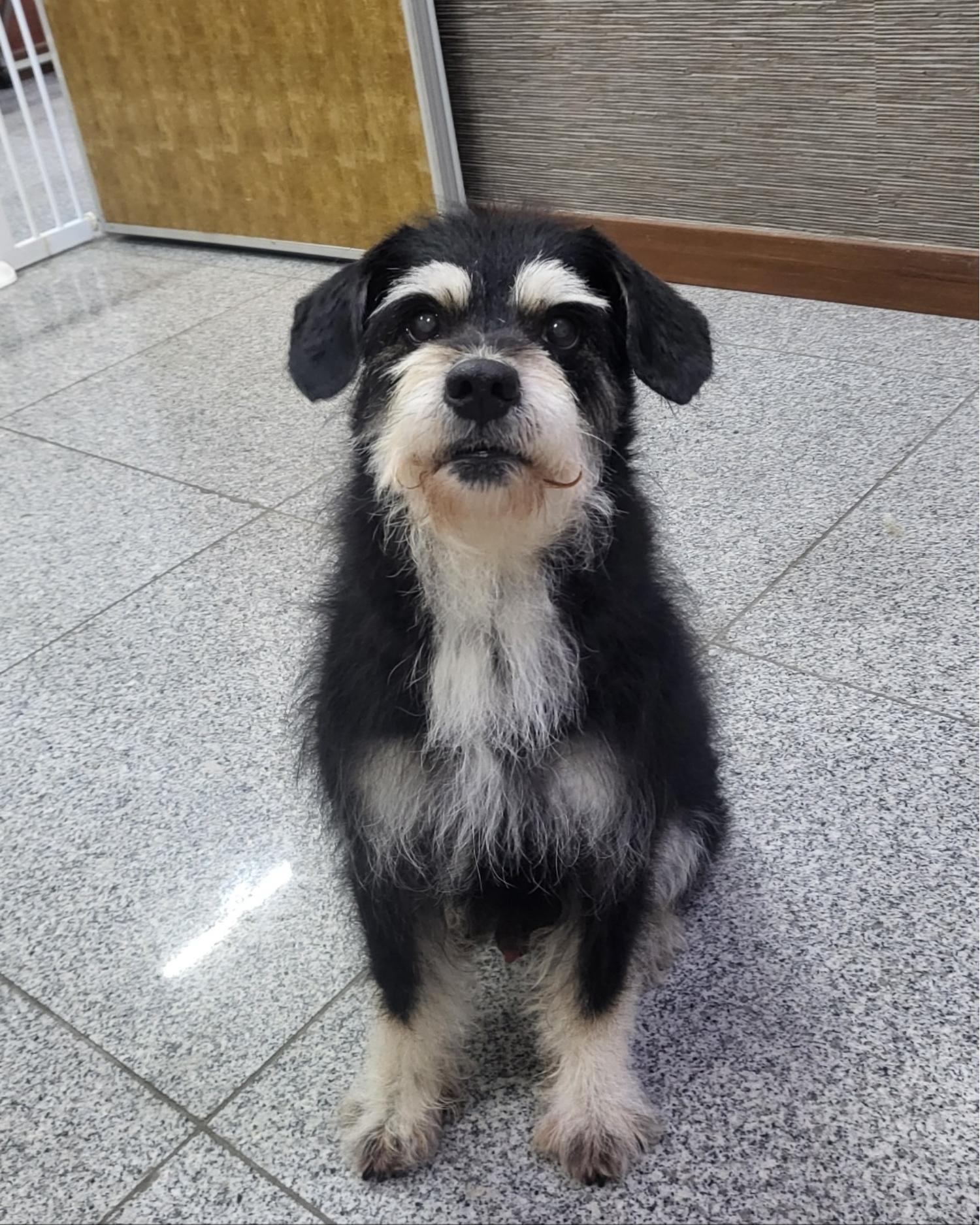 금강동물병원_427346202400040