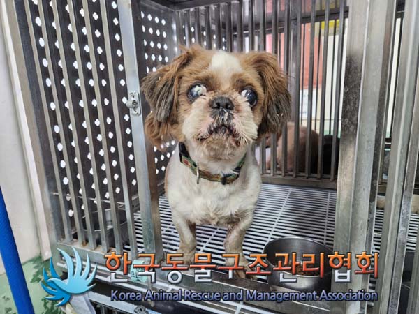 한국동물구조관리협회_441409202400193