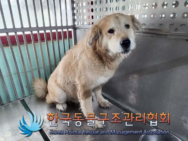 종료(안락사) 믹스…