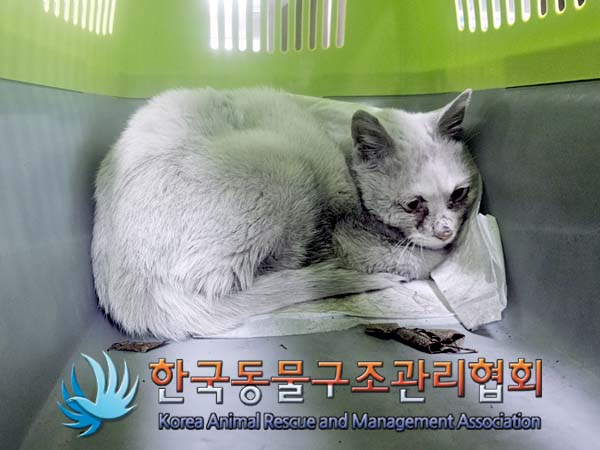 종료(자연사) 터키…