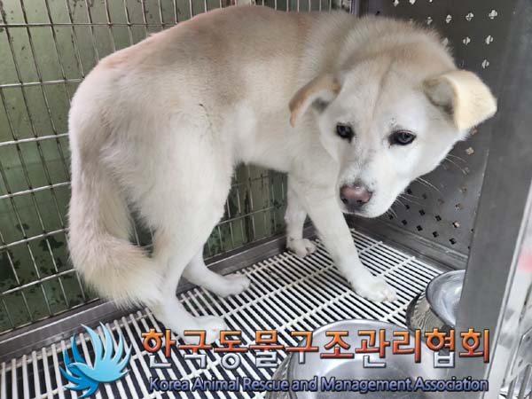 한국동물구조관리협회_441409202400198