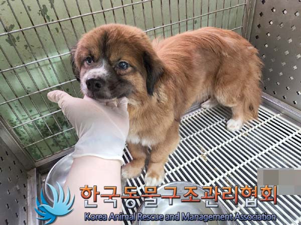 종료(자연사) 믹스…