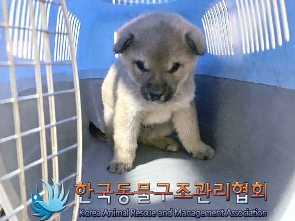 한국동물구조관리협회_441398202400012