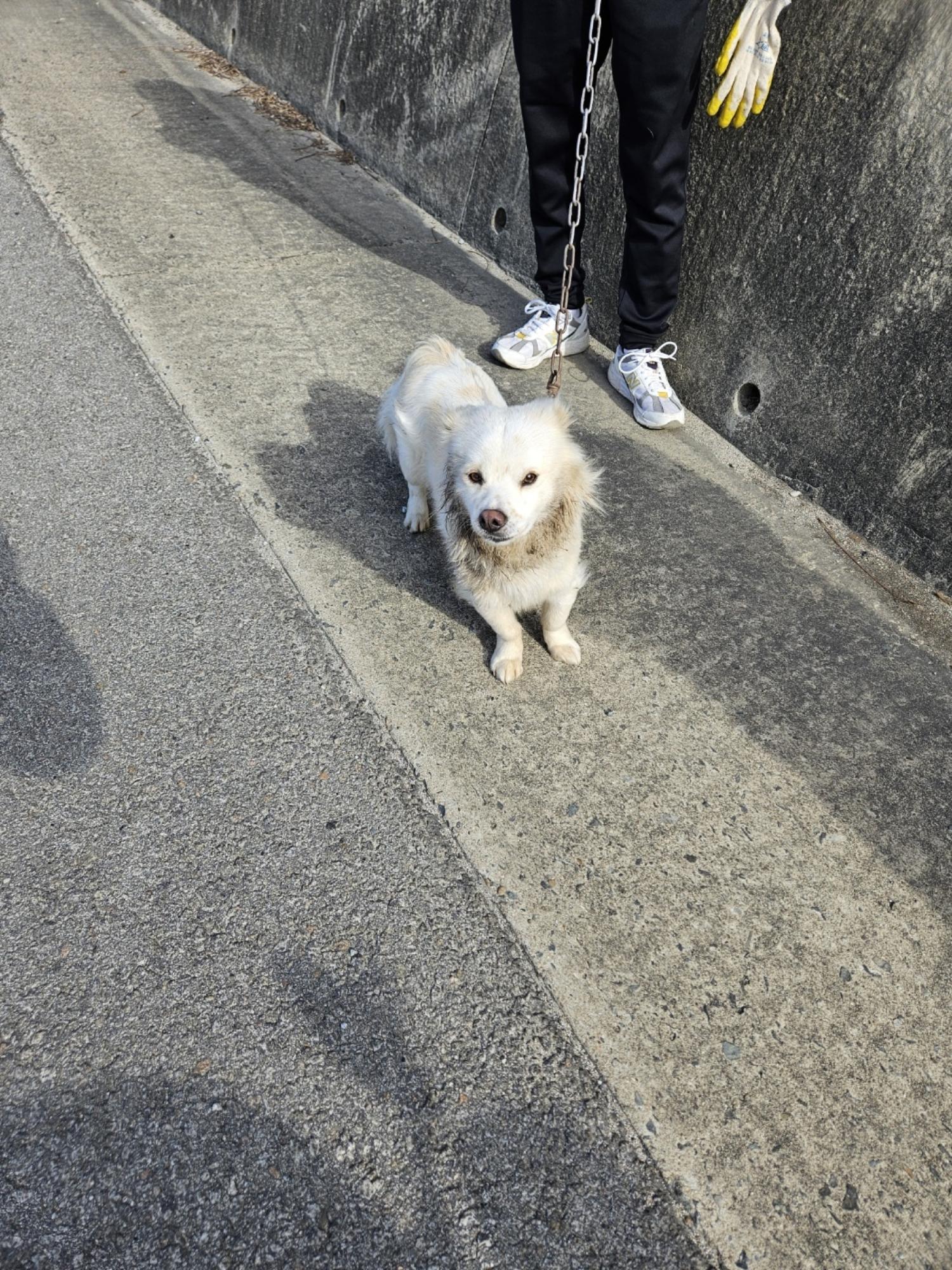 김천시 동물보호센터_447506202400049