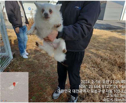 종료(반환) 믹스견…