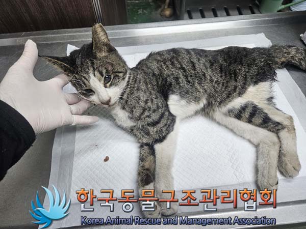종료(자연사) 한국…