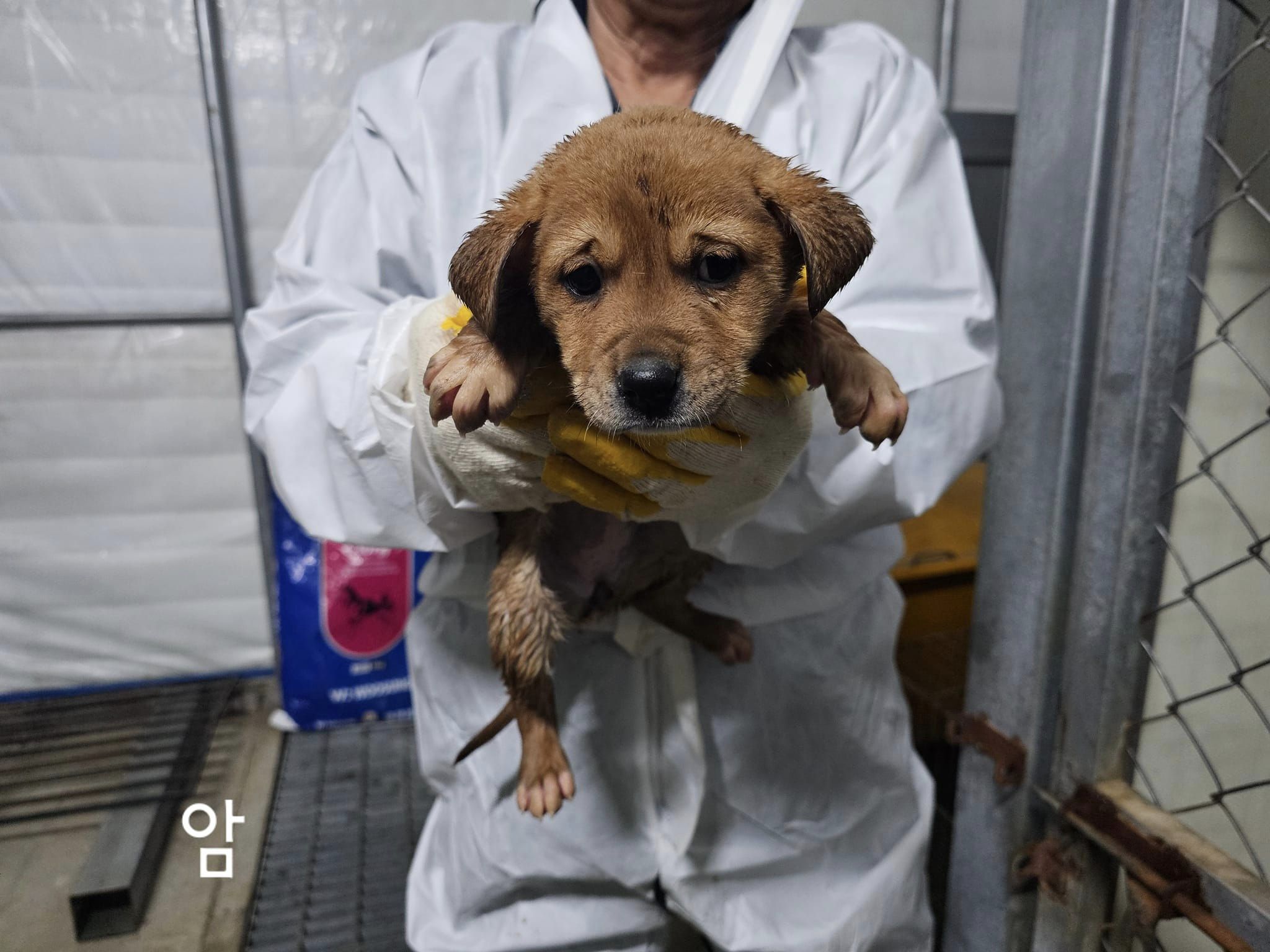 화천군농업기술센터_442431202400056
