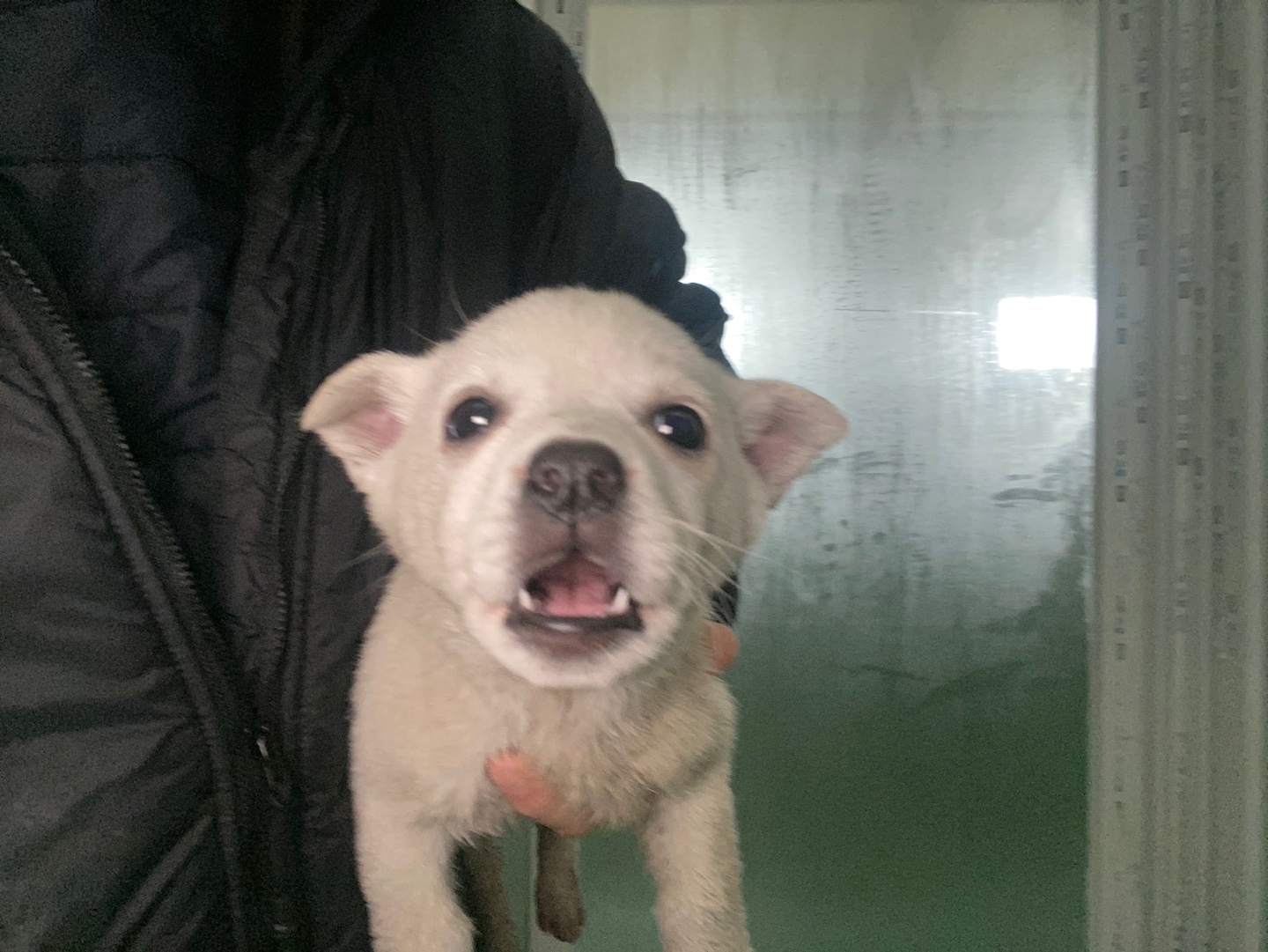 한국야생동물보호협회_441397202400010