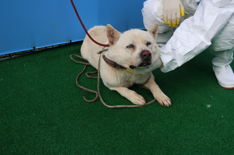 제주 동물보호센터_450650202400545