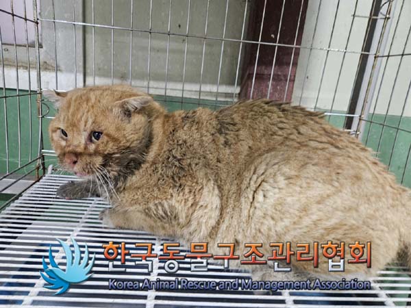 종료(자연사) 한국…
