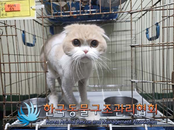한국동물구조관리협회_411322202400010