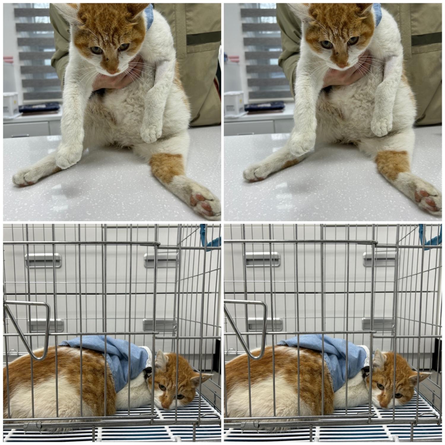종료(자연사) 한국…