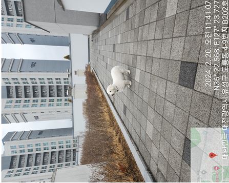종료(반환) 푸들의…