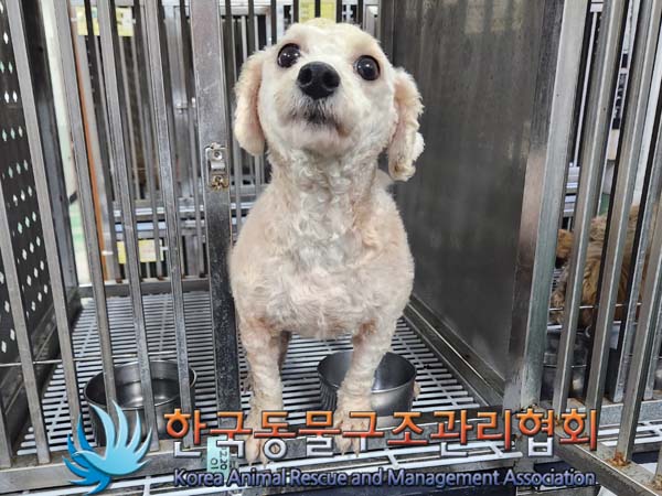 한국동물구조관리협회_411311202400025