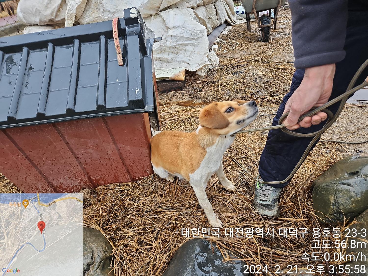 대전동물보호센터_430368202400024
