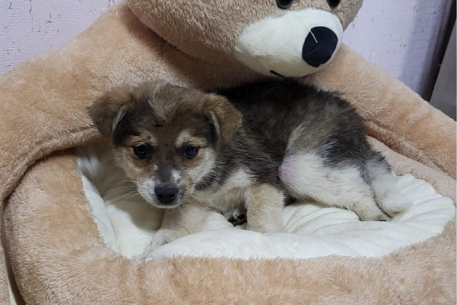밀양시 동물보호센터_448536202400198