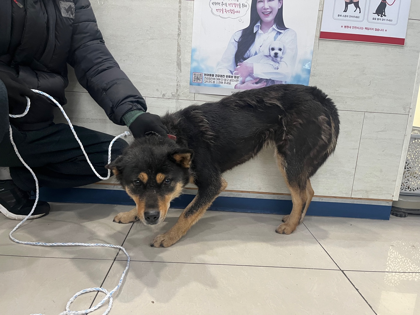 대구시수의사회(삼성)_427343202400056