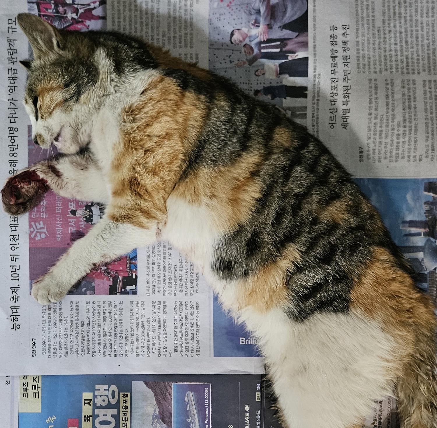 종료(자연사) 한국…