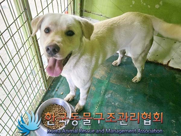 종료(반환) 라브라…