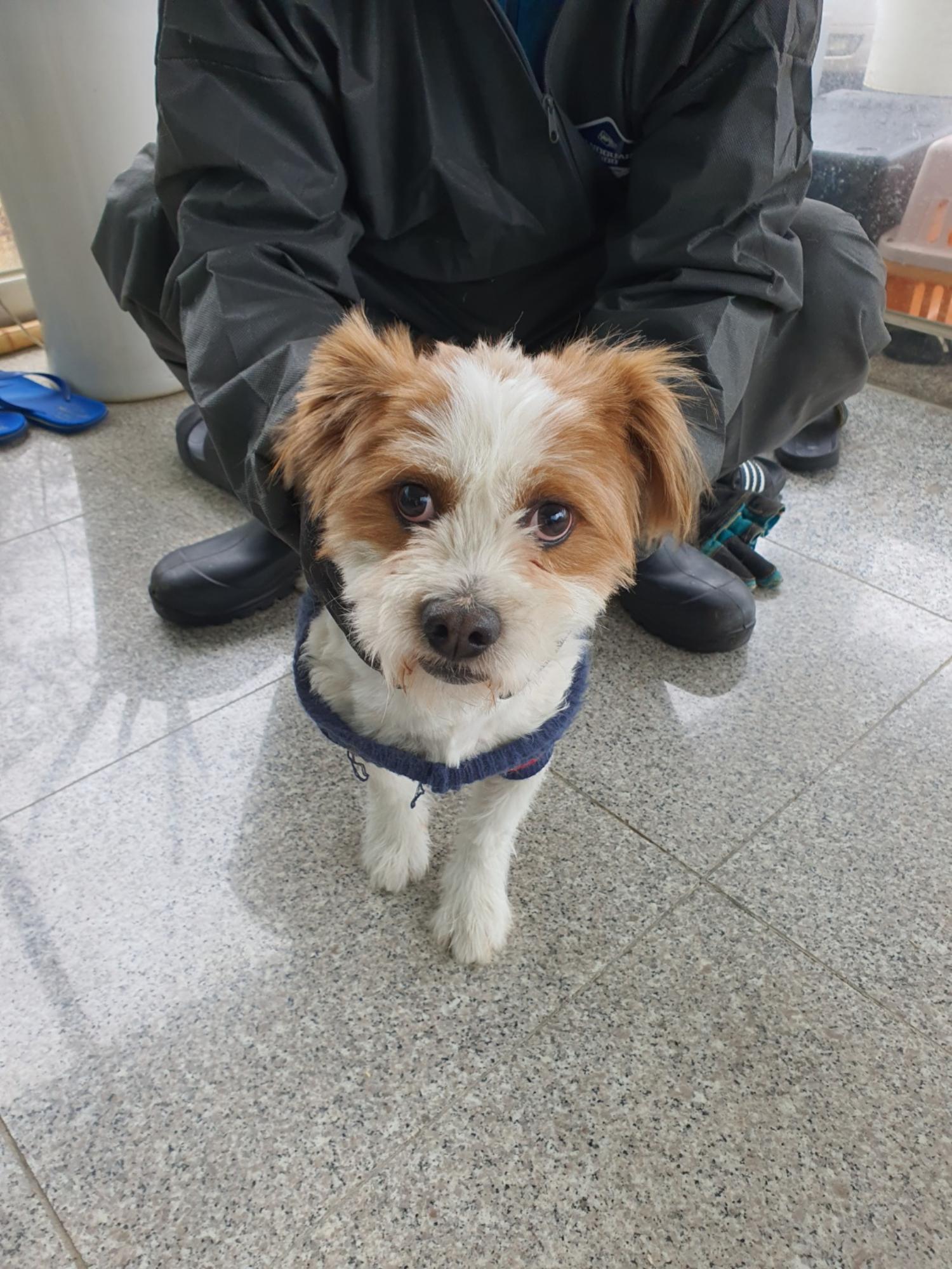 구미시 동물보호센터_447508202400136