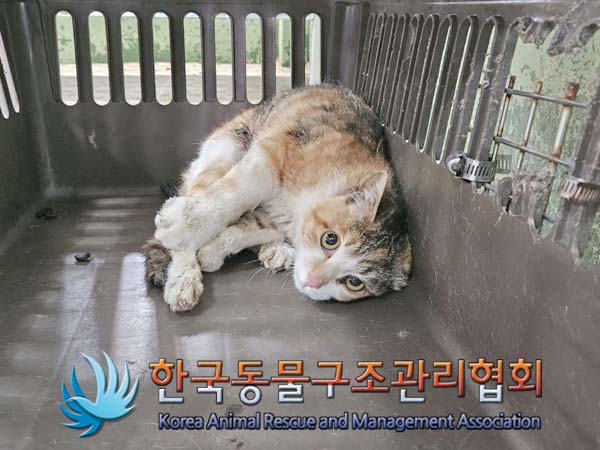 한국동물구조관리협회_441560202400153