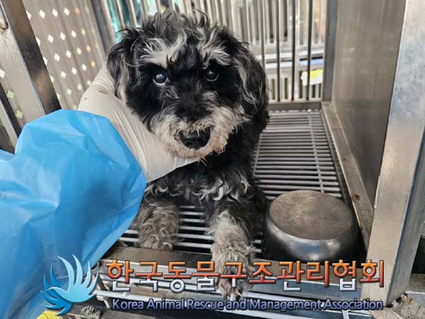 한국동물구조관리협회_411307202400013
