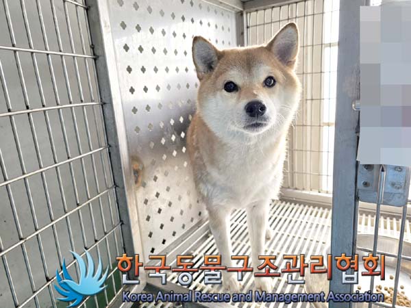 종료(반환) 시바의…