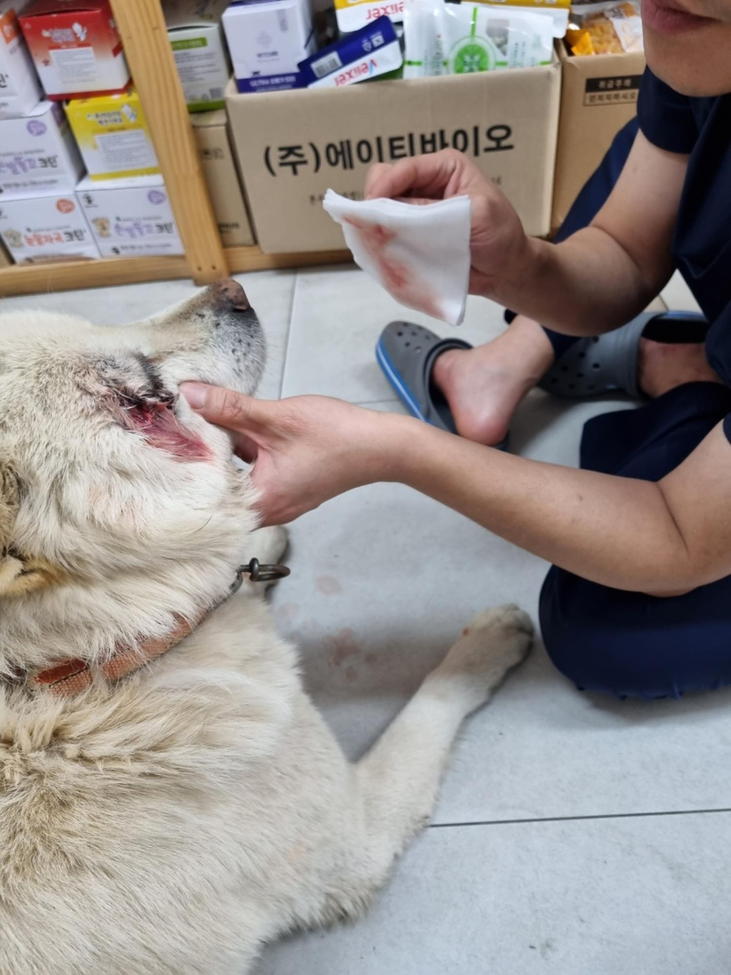 유기동물 삼호 보호소_446494202400097