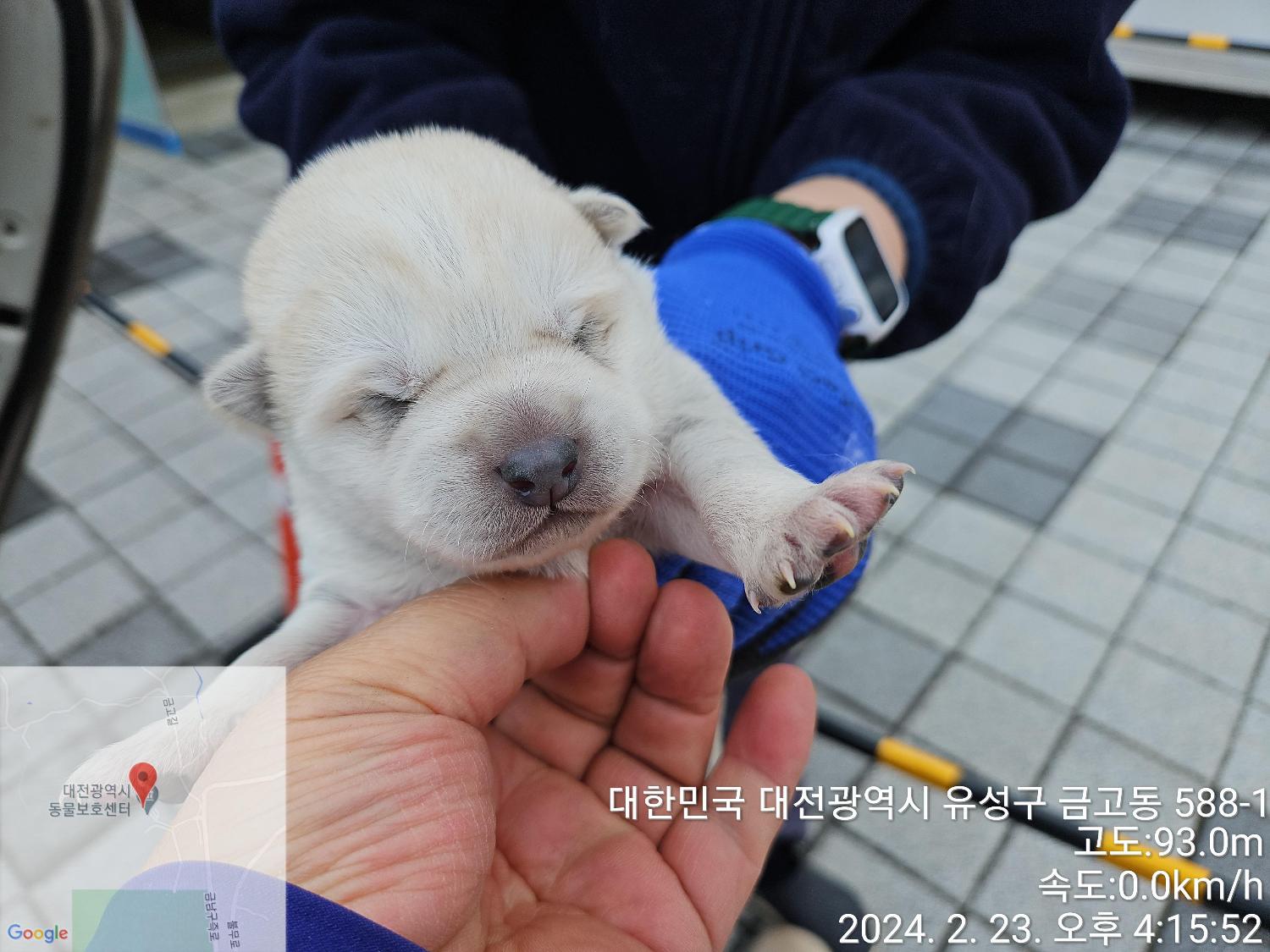 대전동물보호센터_430368202400035