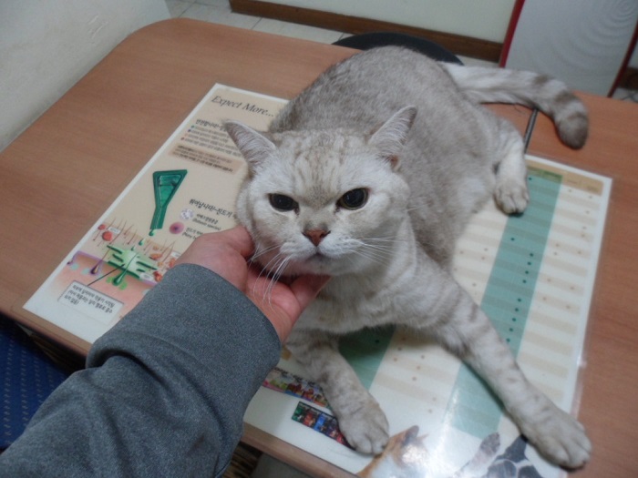 종료(기증) 아비시…