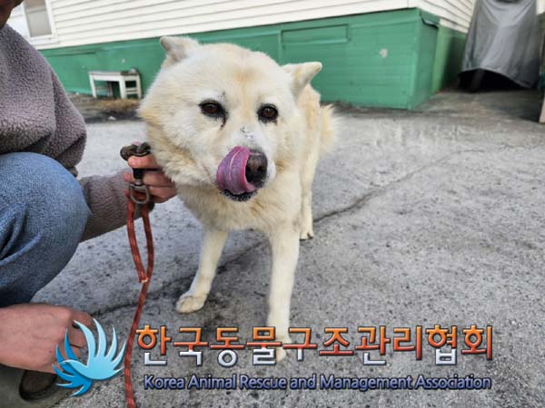 한국동물구조관리협회_441560202400156