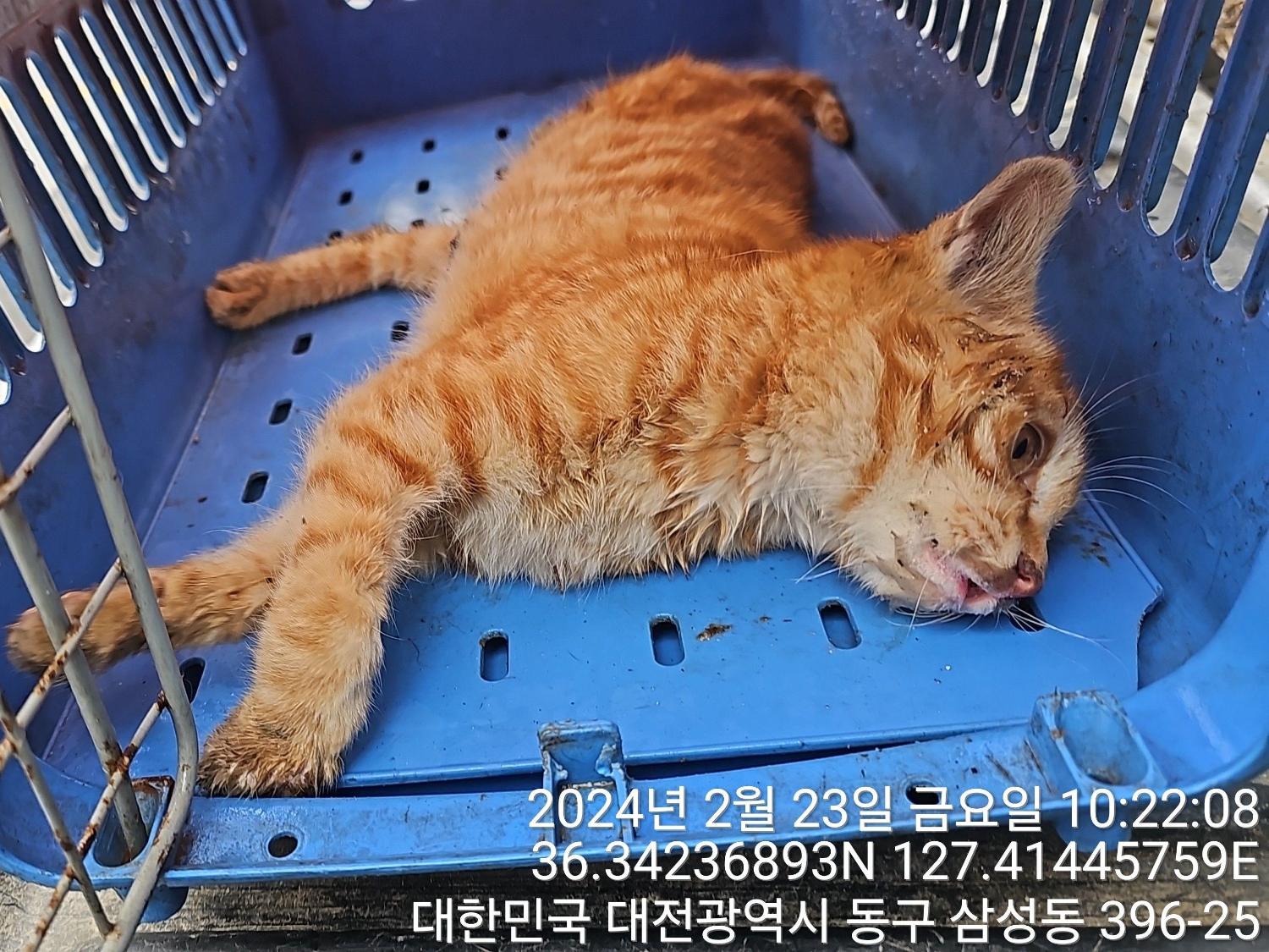 종료(자연사) 한국…