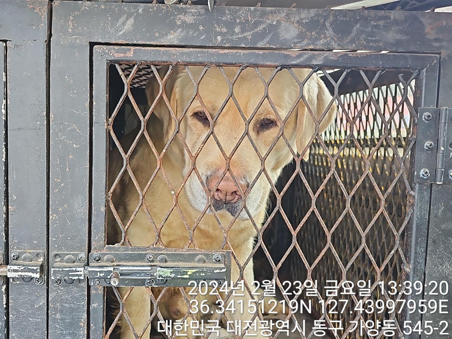 종료(반환) 라브라…