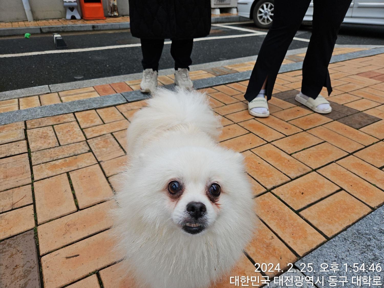 대전동물보호센터_430364202400050