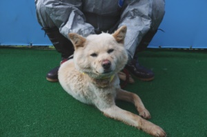 제주 동물보호센터_450650202400616