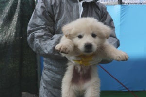 제주 동물보호센터_450650202400617