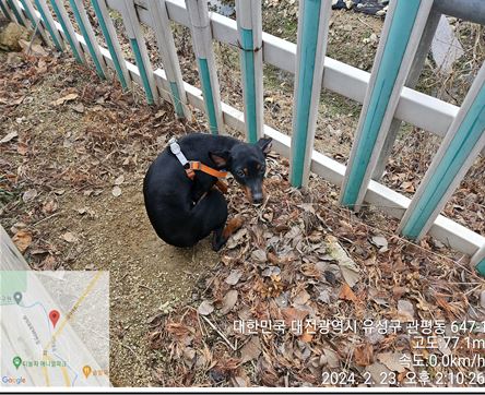 종료(반환) 미니어…