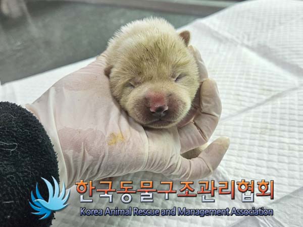 한국동물구조관리협회_411307202400016