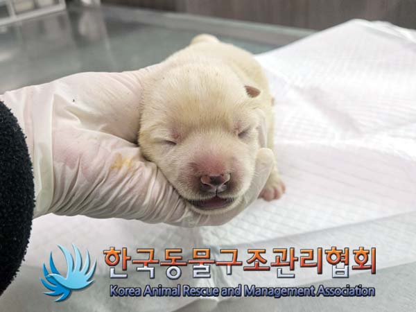 종료(자연사) 믹스…