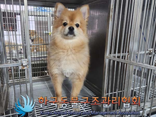 한국동물구조관리협회_441398202400013
