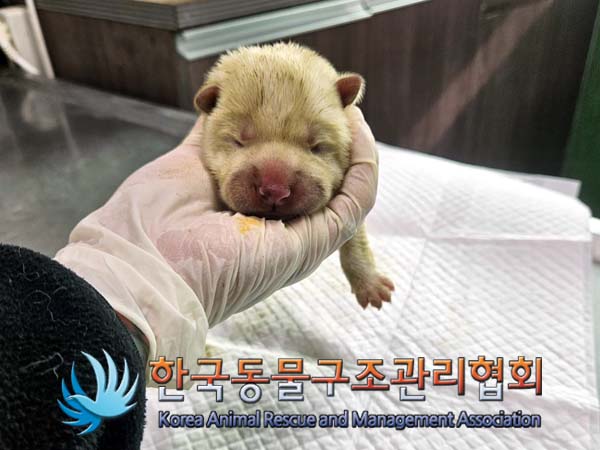 종료(자연사) 믹스…