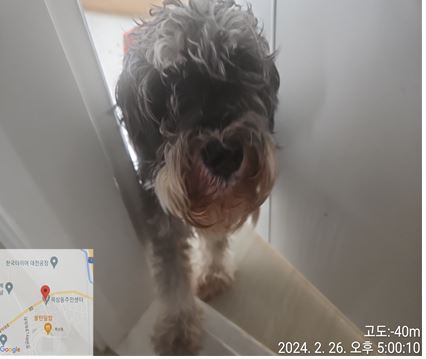 대전동물보호센터_430367202400083