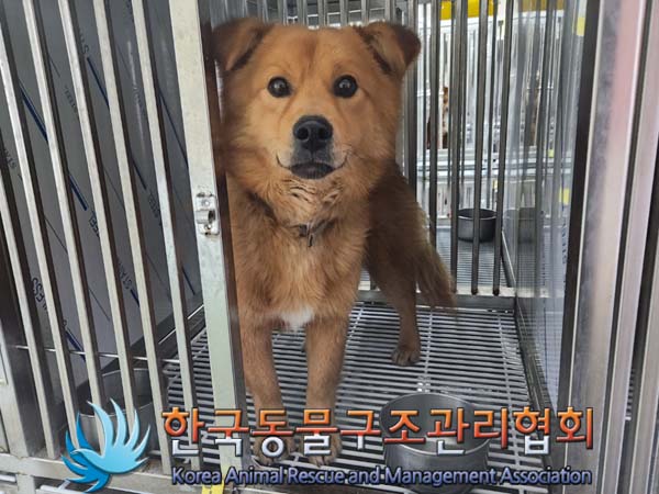 한국동물구조관리협회_441406202400232