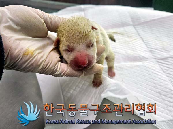 종료(자연사) 믹스…
