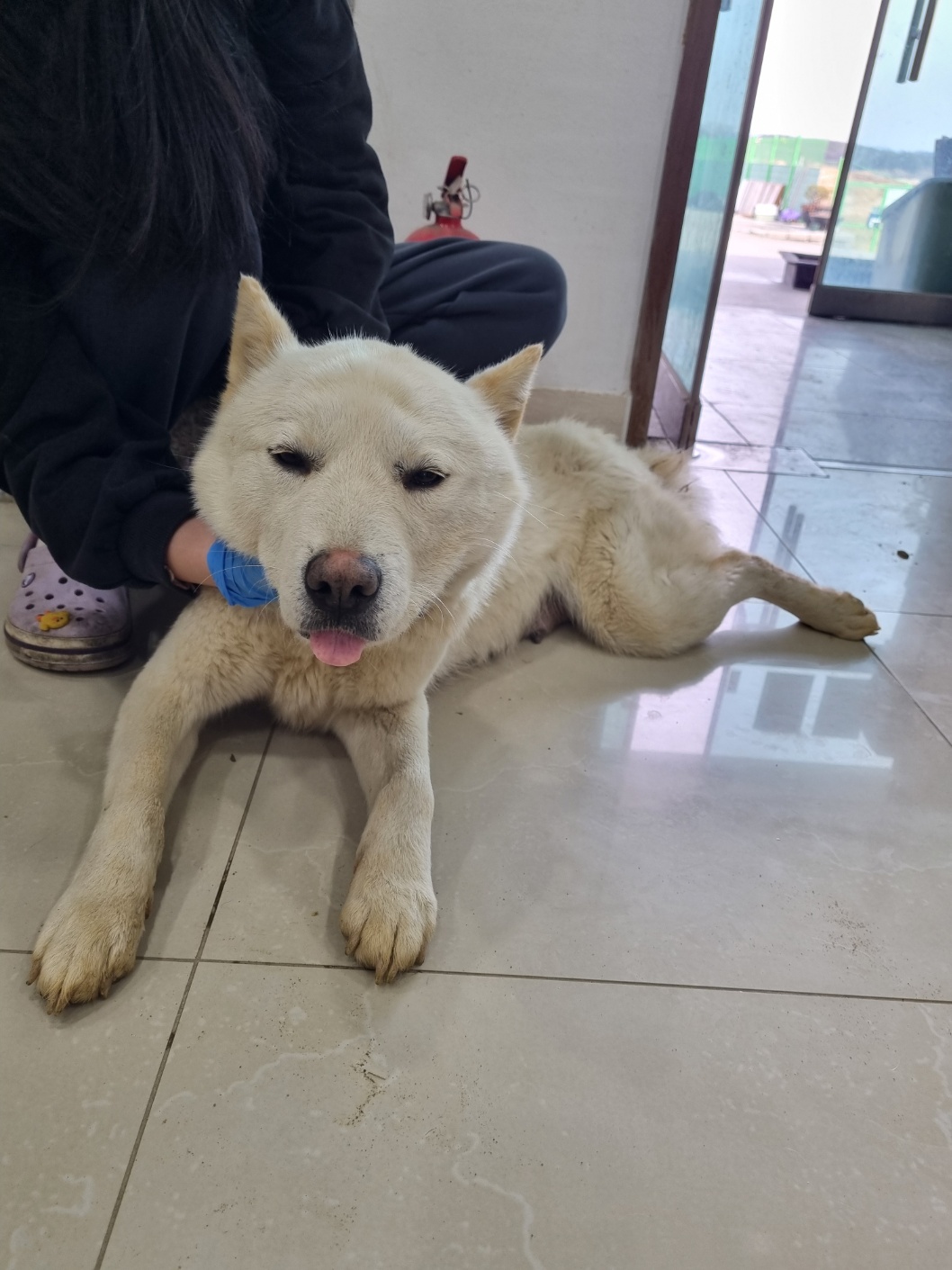 반려동물보호센터_443571202400172